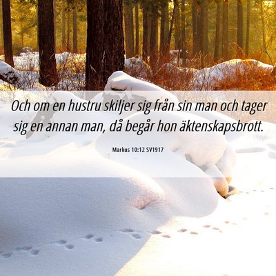 Picture 06 - Markus 10:12 SV1917 - Och om en hustru skiljer sig från sin man och - Bible Verse Picture