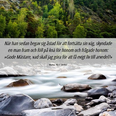 Picture 06 - Markus 10:17 SV1917 - När han sedan begav sig åstad för att - Bible Verse Picture