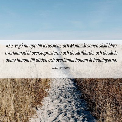 Picture 06 - Markus 10:33 SV1917 - »Se, vi gå nu upp till Jerusalem, och - Bible Verse Picture