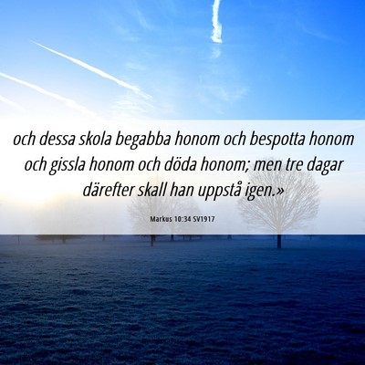 Picture 06 - Markus 10:34 SV1917 - och dessa skola begabba honom och bespotta honom - Bible Verse Picture