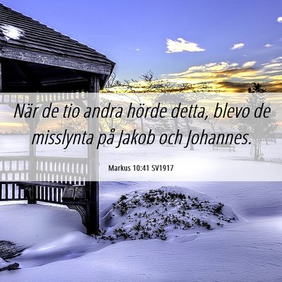 Picture 06 - Markus 10:41 SV1917 - När de tio andra hörde detta, blevo de - Bible Verse Picture