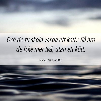 Picture 06 - Markus 10:8 SV1917 - Och de tu skola varda ett kött.' Så äro de - Bible Verse Picture