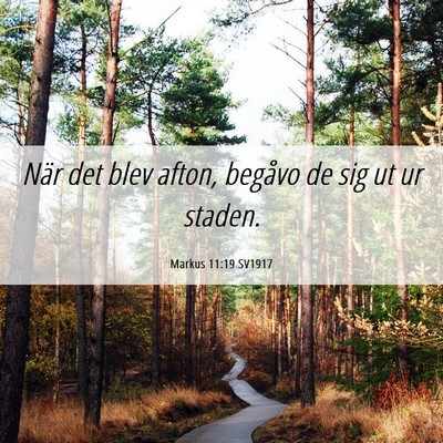 Picture 06 - Markus 11:19 SV1917 - När det blev afton, begåvo de sig ut ur - Bible Verse Picture