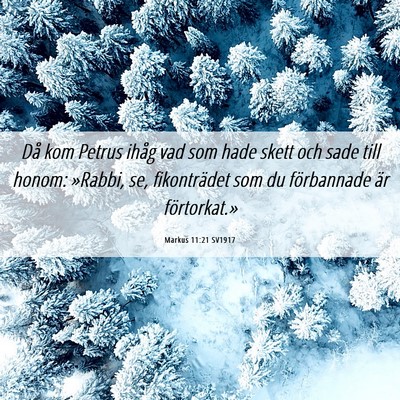 Picture 06 - Markus 11:21 SV1917 - Då kom Petrus ihåg vad som hade skett och sade - Bible Verse Picture