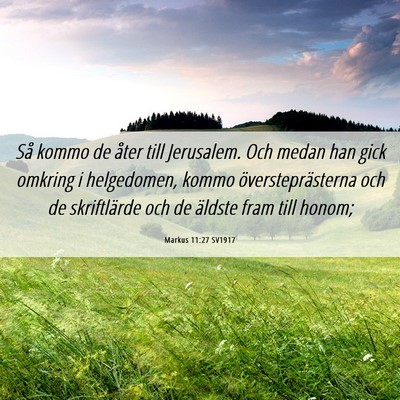 Picture 06 - Markus 11:27 SV1917 - Så kommo de åter till Jerusalem. Och medan han - Bible Verse Picture