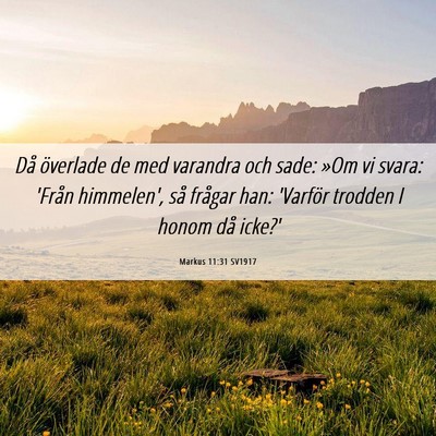 Picture 06 - Markus 11:31 SV1917 - Då överlade de med varandra och sade: »Om vi - Bible Verse Picture
