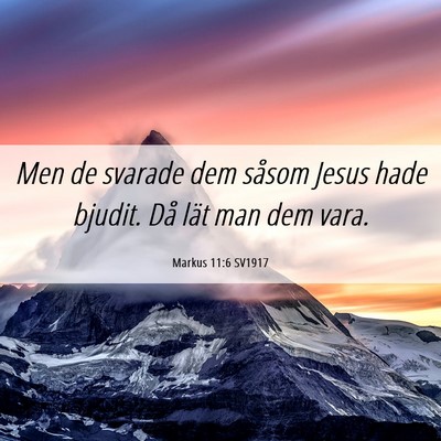 Picture 06 - Markus 11:6 SV1917 - Men de svarade dem såsom Jesus hade bjudit. Då - Bible Verse Picture
