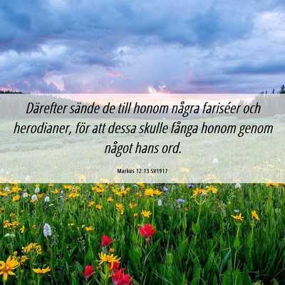 Picture 06 - Markus 12:13 SV1917 - Därefter sände de till honom några fariséer - Bible Verse Picture