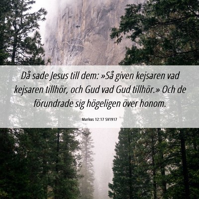 Picture 06 - Markus 12:17 SV1917 - Då sade Jesus till dem: »Så given kejsaren vad - Bible Verse Picture