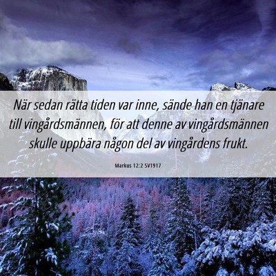 Picture 06 - Markus 12:2 SV1917 - När sedan rätta tiden var inne, sände han en - Bible Verse Picture