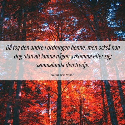 Picture 06 - Markus 12:21 SV1917 - Då tog den andre i ordningen henne, men också - Bible Verse Picture