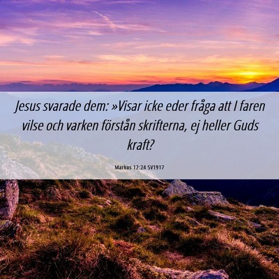 Picture 06 - Markus 12:24 SV1917 - Jesus svarade dem: »Visar icke eder fråga att I - Bible Verse Picture