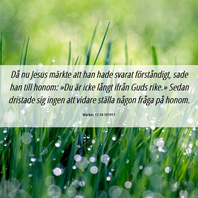 Picture 06 - Markus 12:34 SV1917 - Då nu Jesus märkte att han hade svarat - Bible Verse Picture