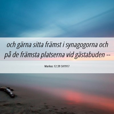 Picture 06 - Markus 12:39 SV1917 - och gärna sitta främst i synagogorna och på de - Bible Verse Picture