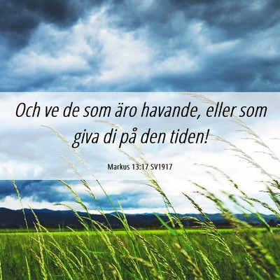 Picture 06 - Markus 13:17 SV1917 - Och ve de som äro havande, eller som giva di på - Bible Verse Picture