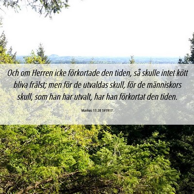 Picture 06 - Markus 13:20 SV1917 - Och om Herren icke förkortade den tiden, så - Bible Verse Picture