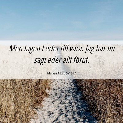 Picture 06 - Markus 13:23 SV1917 - Men tagen I eder till vara. Jag har nu sagt eder - Bible Verse Picture