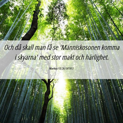 Picture 06 - Markus 13:26 SV1917 - Och då skall man få se 'Människosonen komma i - Bible Verse Picture