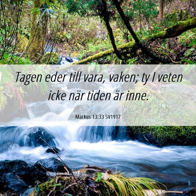 Picture 06 - Markus 13:33 SV1917 - Tagen eder till vara, vaken; ty I veten icke när - Bible Verse Picture