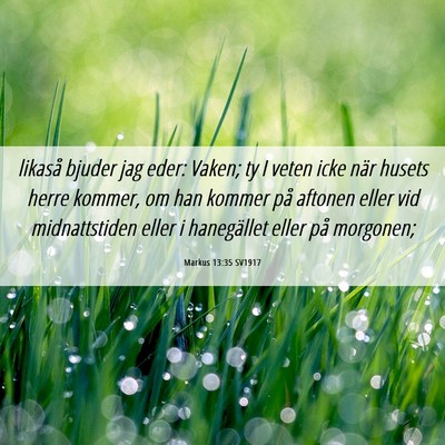 Picture 06 - Markus 13:35 SV1917 - likaså bjuder jag eder: Vaken; ty I veten icke - Bible Verse Picture