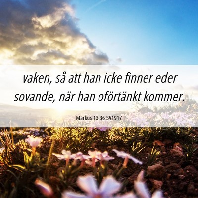 Picture 06 - Markus 13:36 SV1917 - vaken, så att han icke finner eder sovande, när - Bible Verse Picture