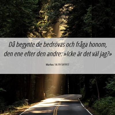 Picture 06 - Markus 14:19 SV1917 - Då begynte de bedrövas och fråga honom, den - Bible Verse Picture