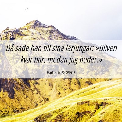 Picture 06 - Markus 14:32 SV1917 - Då sade han till sina lärjungar: »Bliven kvar - Bible Verse Picture