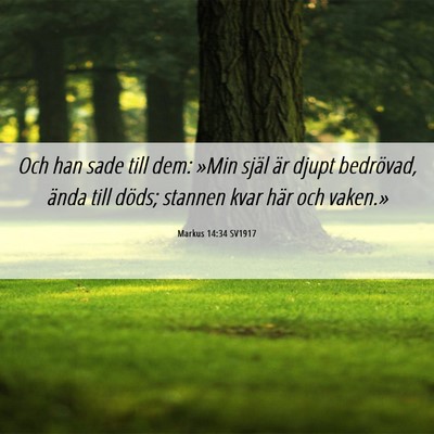 Picture 06 - Markus 14:34 SV1917 - Och han sade till dem: »Min själ är djupt - Bible Verse Picture