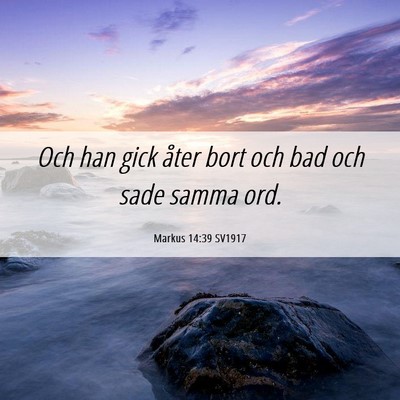 Picture 06 - Markus 14:39 SV1917 - Och han gick åter bort och bad och sade samma - Bible Verse Picture