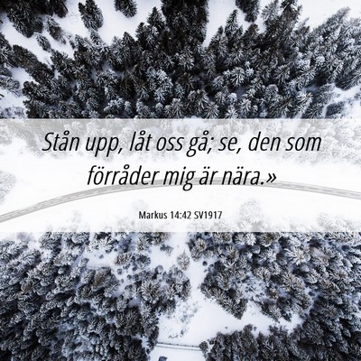 Picture 06 - Markus 14:42 SV1917 - Stån upp, låt oss gå; se, den som förråder - Bible Verse Picture