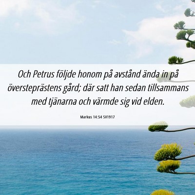Picture 06 - Markus 14:54 SV1917 - Och Petrus följde honom på avstånd ända in - Bible Verse Picture