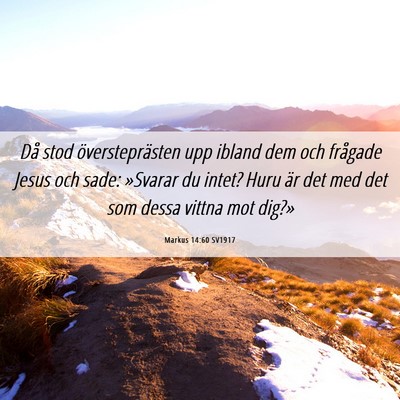 Picture 06 - Markus 14:60 SV1917 - Då stod översteprästen upp ibland dem och - Bible Verse Picture