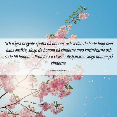 Picture 06 - Markus 14:65 SV1917 - Och några begynte spotta på honom; och sedan de - Bible Verse Picture