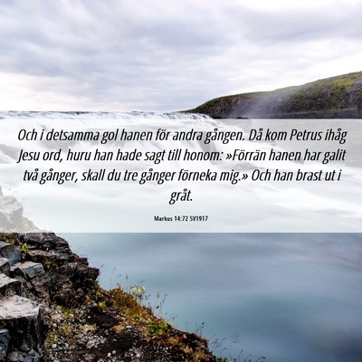Picture 06 - Markus 14:72 SV1917 - Och i detsamma gol hanen för andra gången. Då - Bible Verse Picture