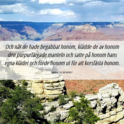 Picture 06 - Markus 15:20 SV1917 - Och när de hade begabbat honom, klädde de av - Bible Verse Picture