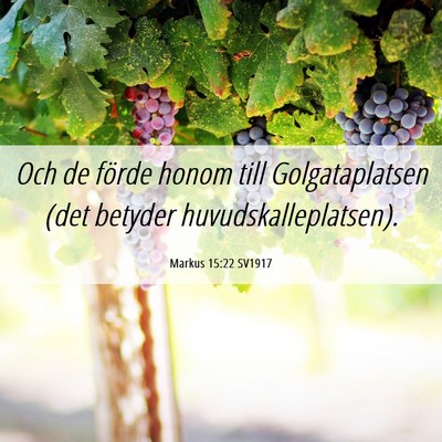 Picture 06 - Markus 15:22 SV1917 - Och de förde honom till Golgataplatsen (det - Bible Verse Picture