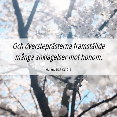 Picture 06 - Markus 15:3 SV1917 - Och översteprästerna framställde många - Bible Verse Picture