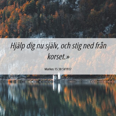 Picture 06 - Markus 15:30 SV1917 - Hjälp dig nu själv, och stig ned från - Bible Verse Picture