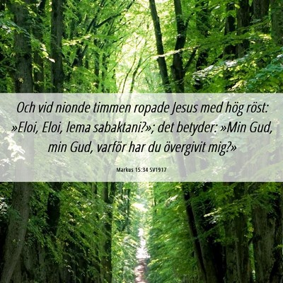 Picture 06 - Markus 15:34 SV1917 - Och vid nionde timmen ropade Jesus med hög - Bible Verse Picture