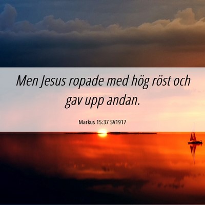 Picture 06 - Markus 15:37 SV1917 - Men Jesus ropade med hög röst och gav upp - Bible Verse Picture