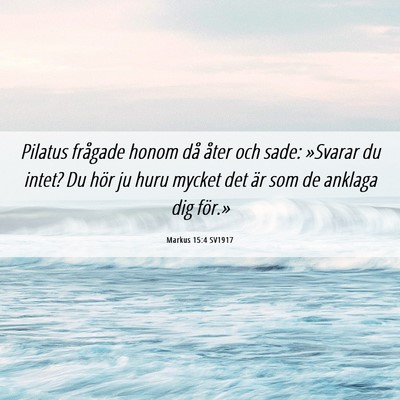 Picture 06 - Markus 15:4 SV1917 - Pilatus frågade honom då åter och sade: - Bible Verse Picture