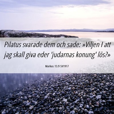 Picture 06 - Markus 15:9 SV1917 - Pilatus svarade dem och sade: »Viljen I att jag - Bible Verse Picture