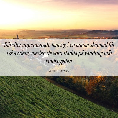 Picture 06 - Markus 16:12 SV1917 - Därefter uppenbarade han sig i en annan skepnad - Bible Verse Picture