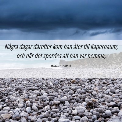 Picture 06 - Markus 2:1 SV1917 - Några dagar därefter kom han åter till - Bible Verse Picture
