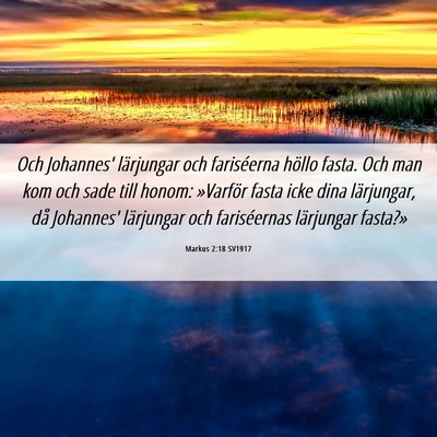 Picture 06 - Markus 2:18 SV1917 - Och Johannes' lärjungar och fariséerna höllo - Bible Verse Picture