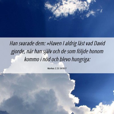 Picture 06 - Markus 2:25 SV1917 - Han svarade dem: »Haven I aldrig läst vad David - Bible Verse Picture