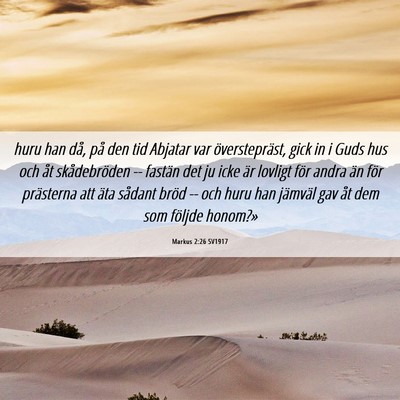 Picture 06 - Markus 2:26 SV1917 - huru han då, på den tid Abjatar var - Bible Verse Picture