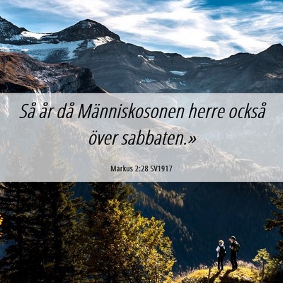 Picture 06 - Markus 2:28 SV1917 - Så år då Människosonen herre också över - Bible Verse Picture