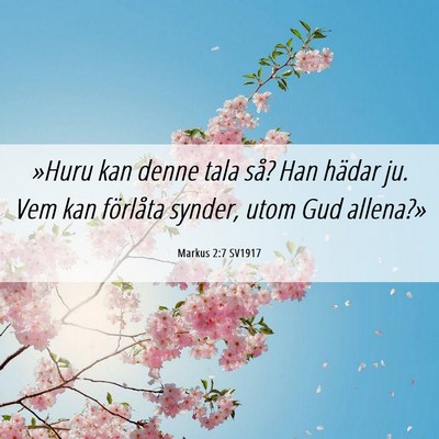 Picture 06 - Markus 2:7 SV1917 - »Huru kan denne tala så? Han hädar ju. Vem kan - Bible Verse Picture