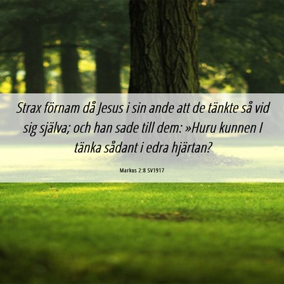 Picture 06 - Markus 2:8 SV1917 - Strax förnam då Jesus i sin ande att de tänkte - Bible Verse Picture